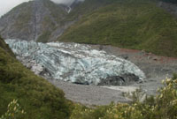Fox Glacier